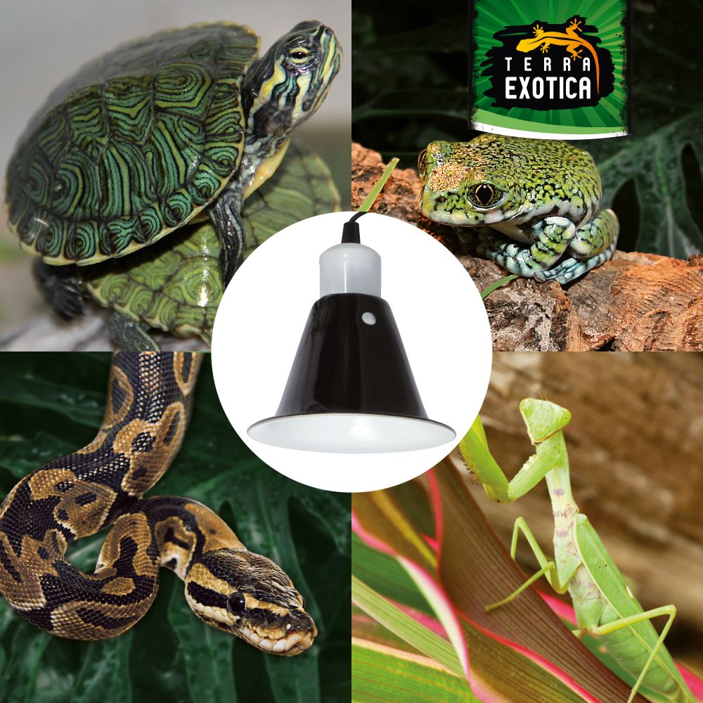 Comfort Clamp Lamp - Comfort-Klemmlampe - Mini-Large